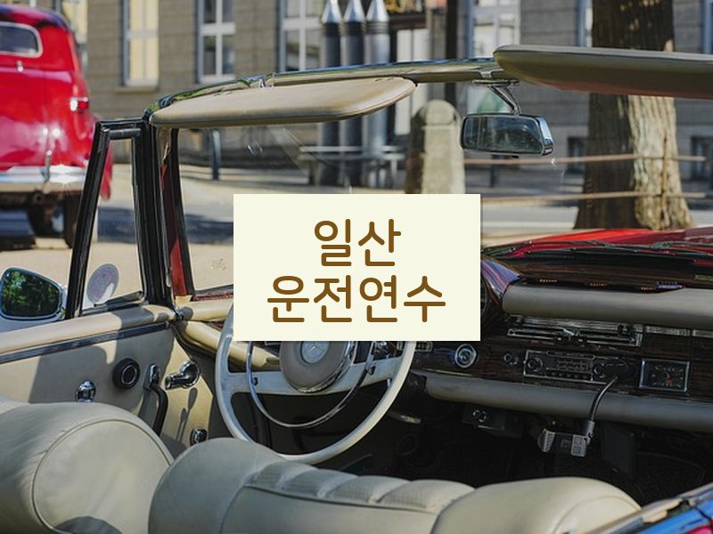 일산운전연수 후기