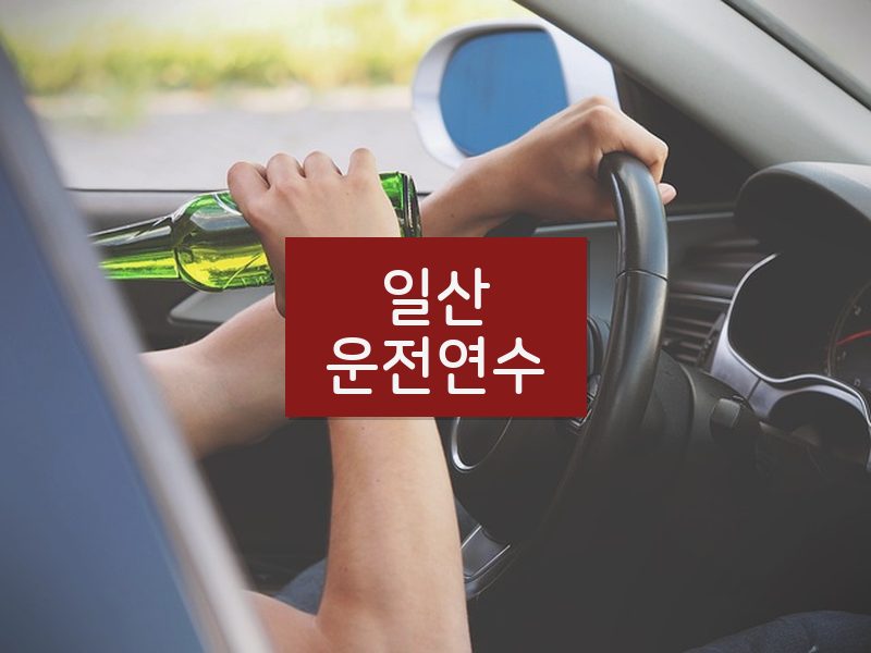 일산운전연수 후기