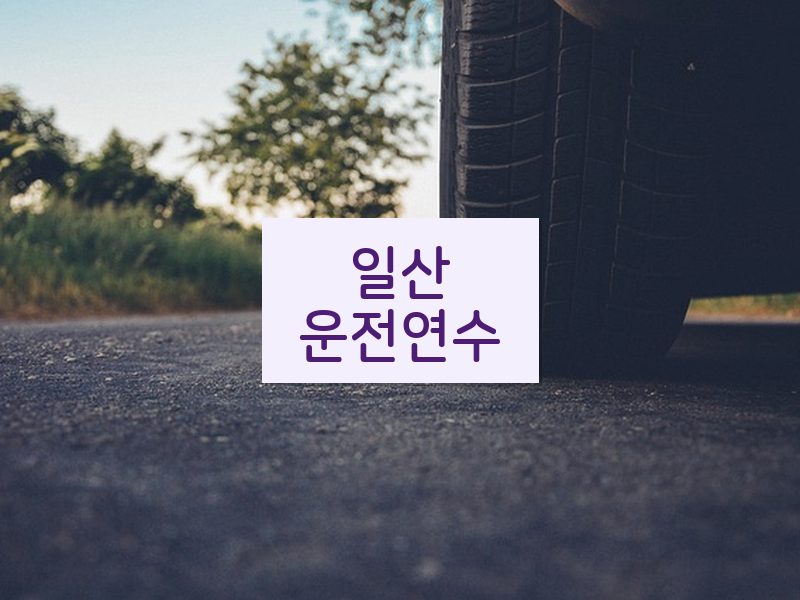 일산운전연수 후기