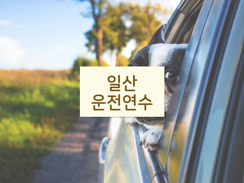 일산운전연수 후기