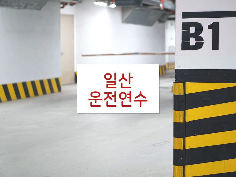 일산운전연수 후기