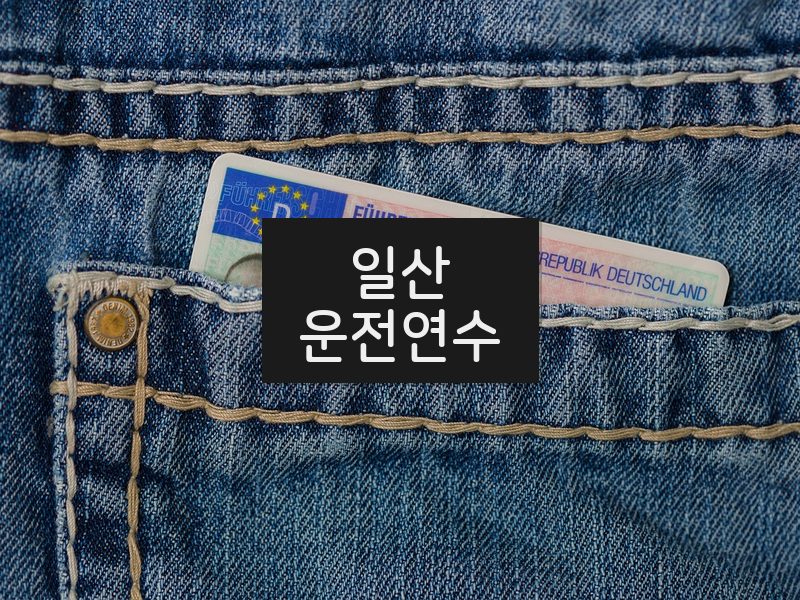 일산운전연수 후기