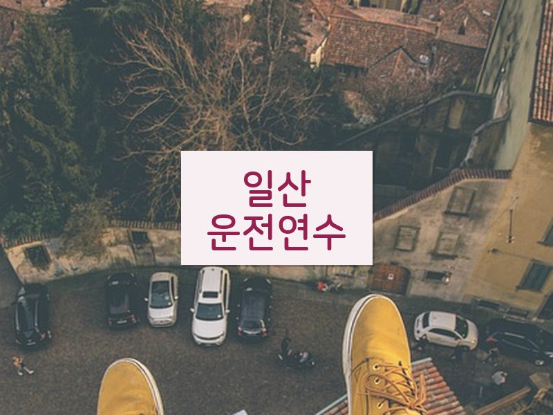 일산운전연수 후기