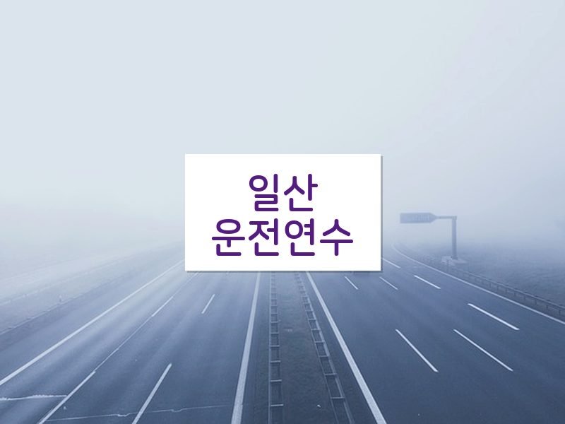 일산운전연수 후기