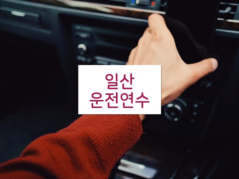 일산운전연수 후기