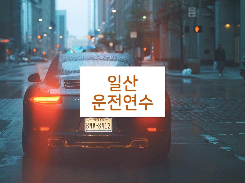 일산운전연수 후기