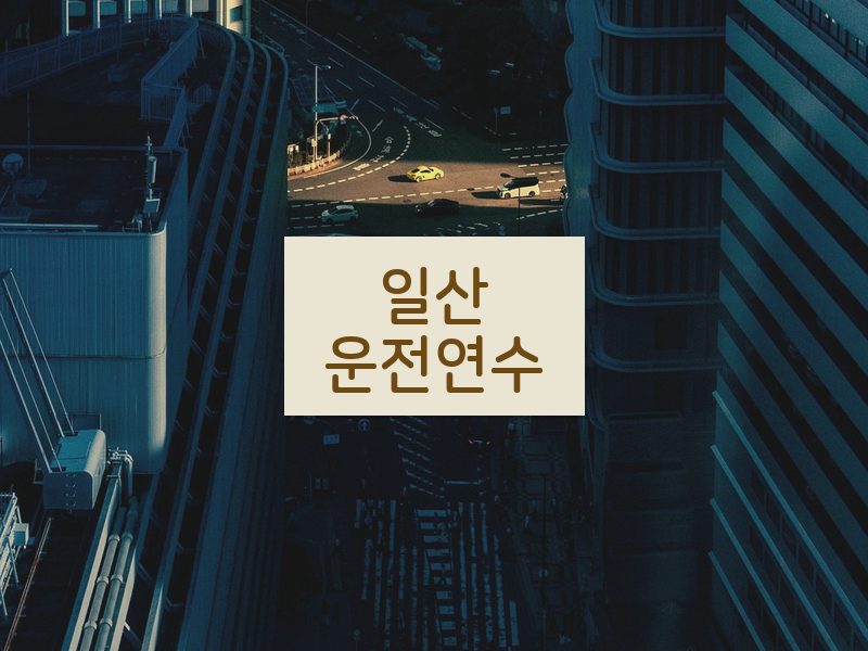 일산운전연수 후기