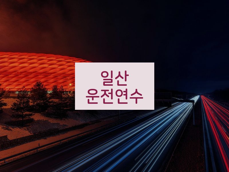 일산운전연수 후기