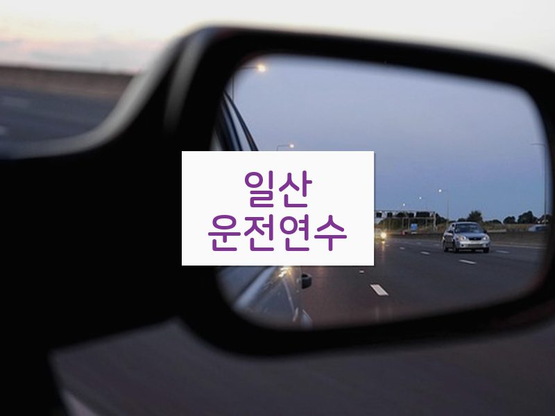 일산운전연수 후기