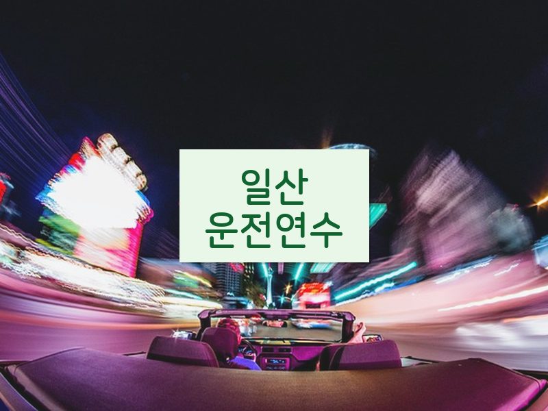 일산운전연수 후기