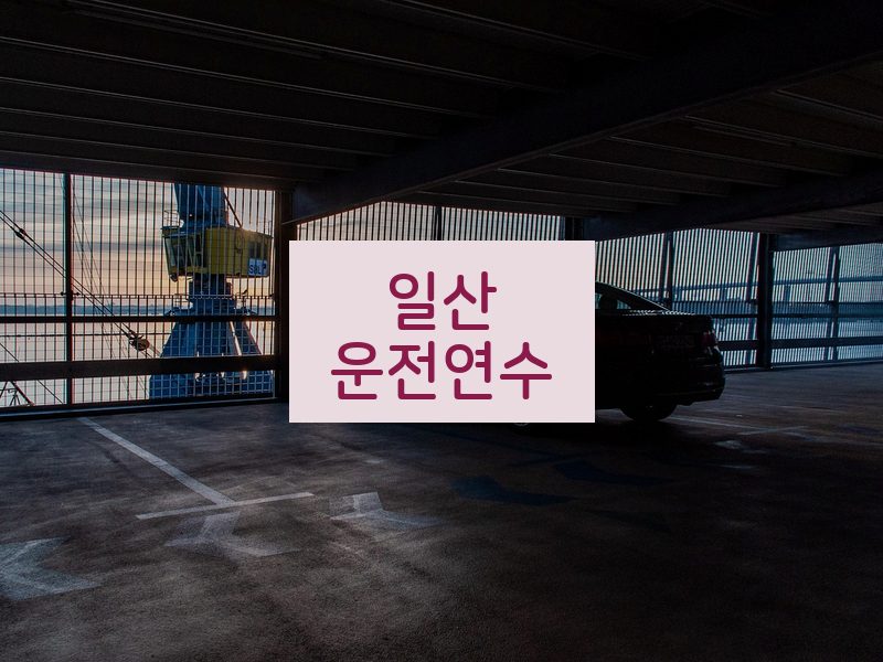 일산운전연수 후기