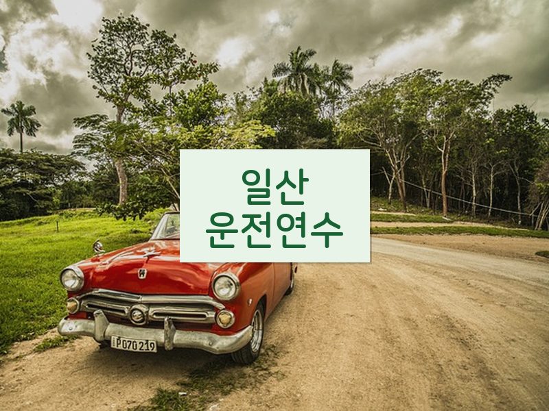 일산운전연수 후기