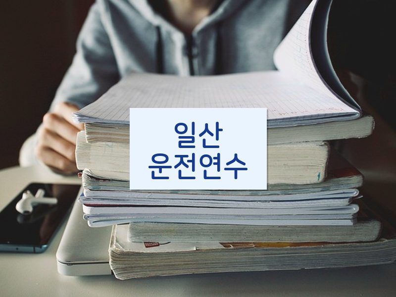 일산운전연수 후기