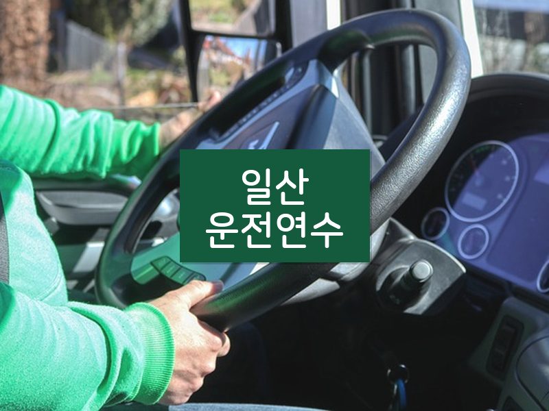일산운전연수 후기