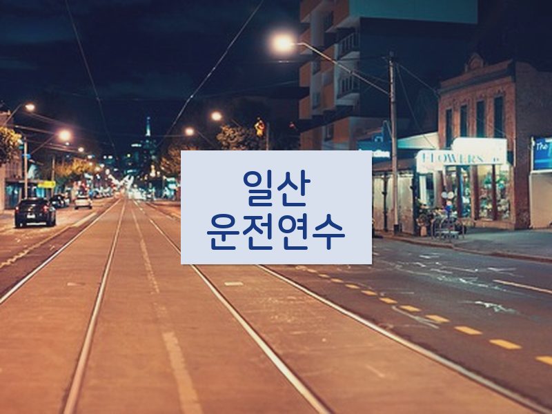 일산운전연수 후기