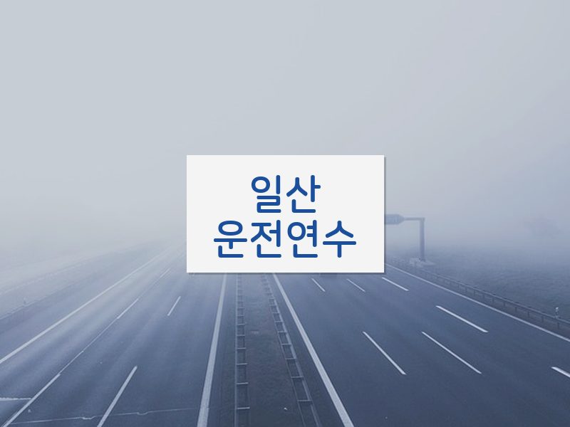 일산운전연수 후기