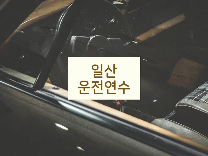 일산운전연수 후기