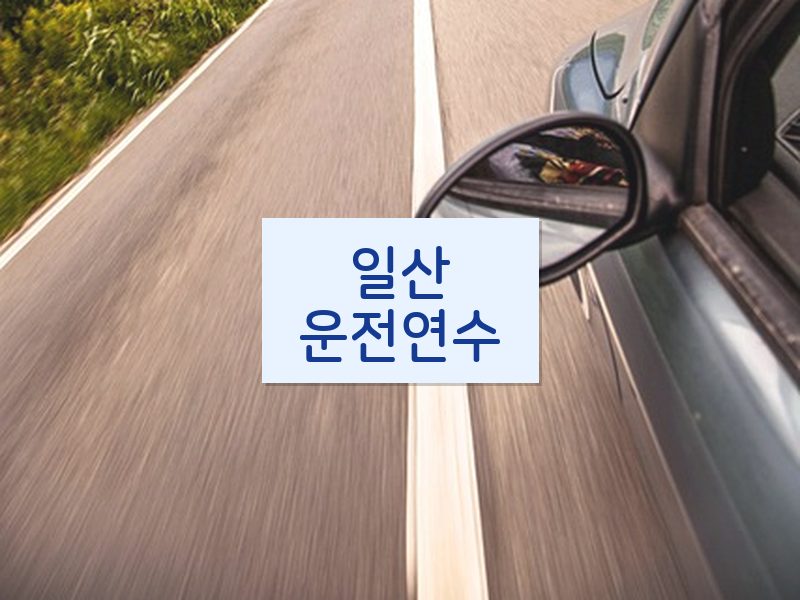 일산운전연수 후기