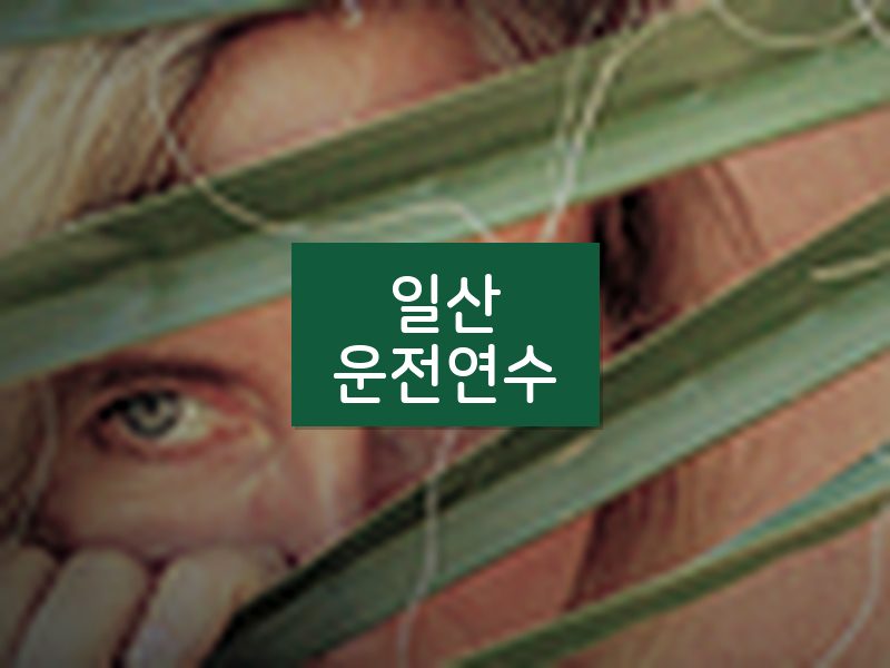 일산운전연수 후기