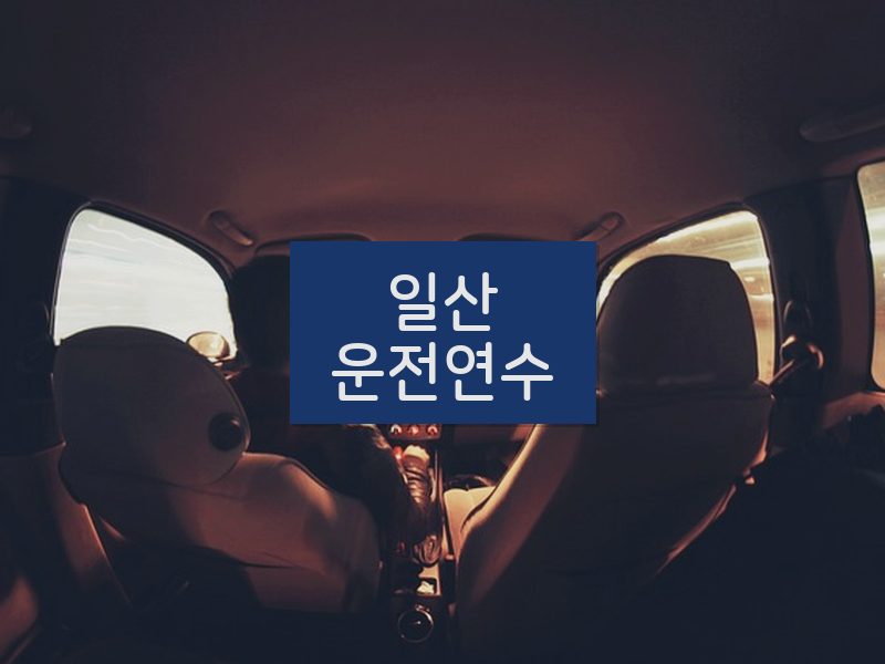 일산운전연수 후기