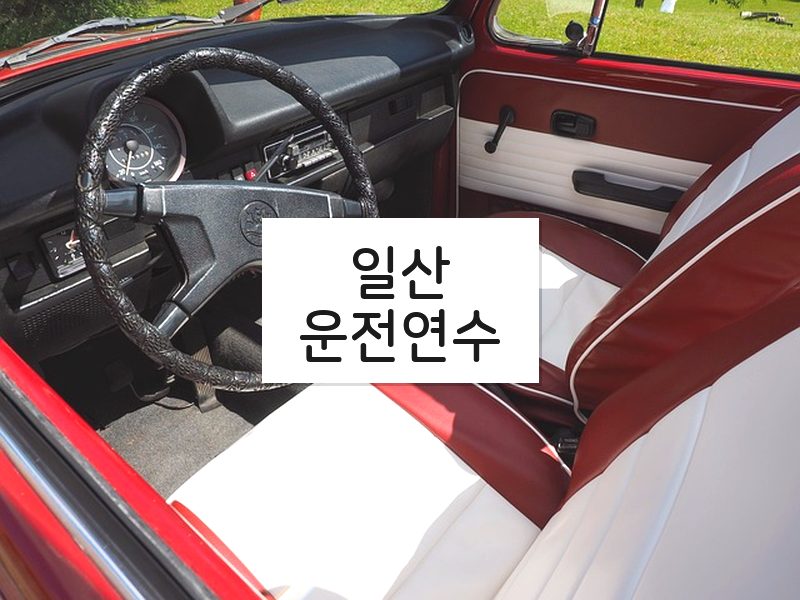 일산운전연수 후기