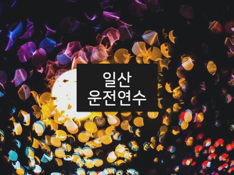 일산운전연수 후기