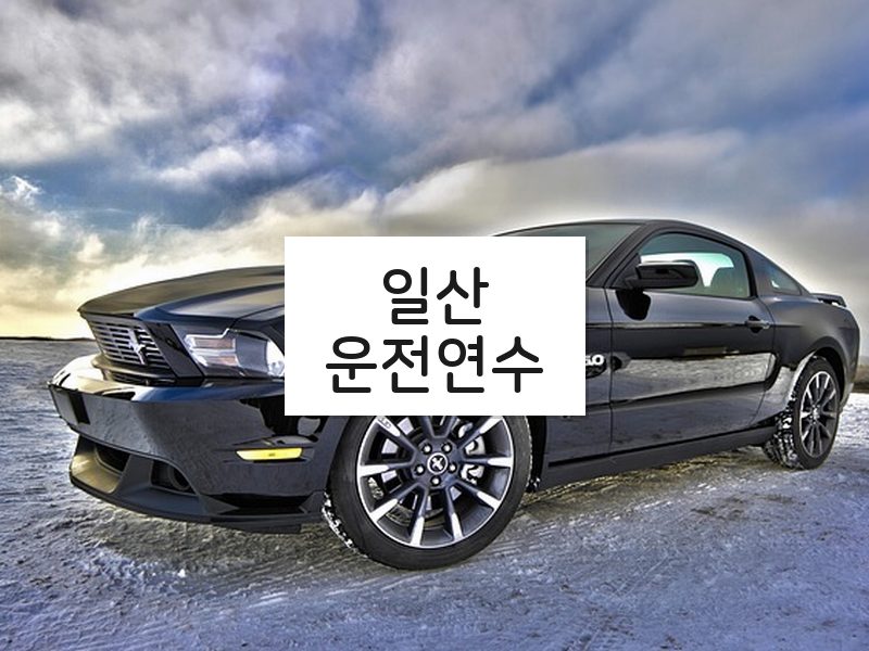 일산운전연수 후기