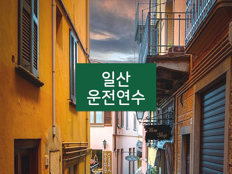 일산운전연수 후기