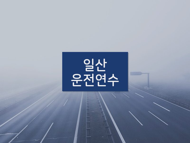 일산운전연수 후기