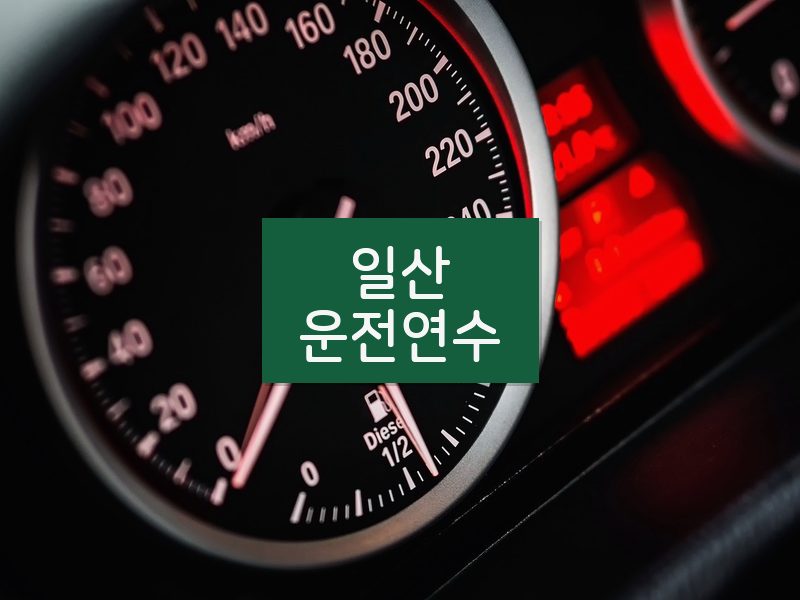 일산운전연수 후기