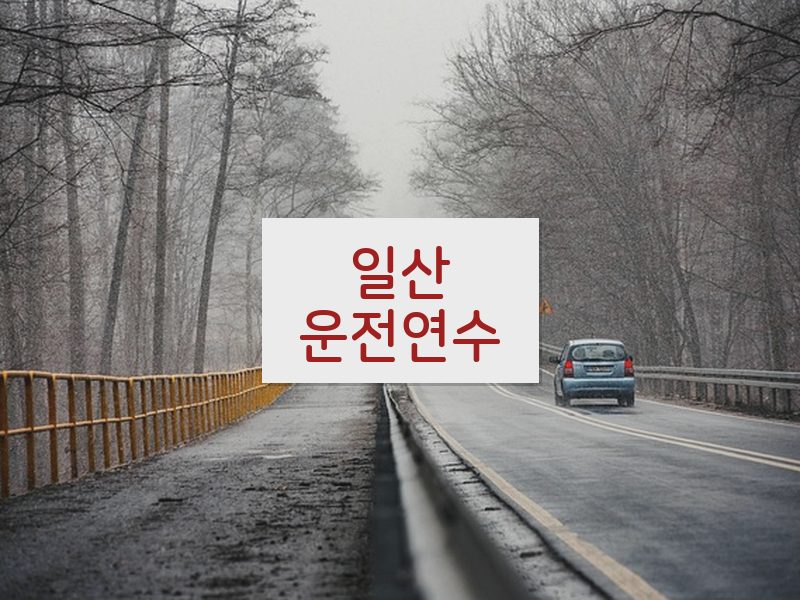 일산운전연수 후기