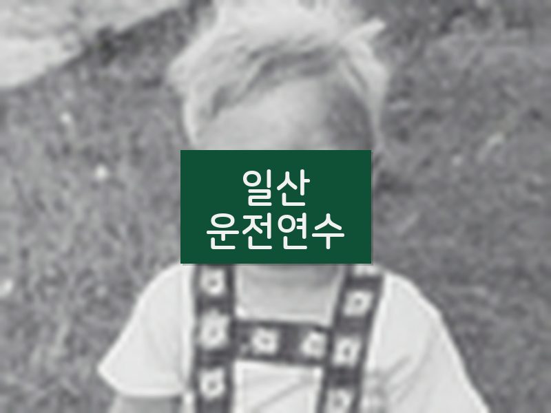 일산운전연수 후기