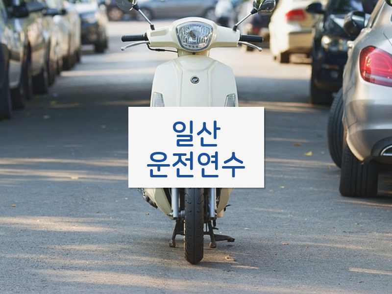 일산운전연수 후기