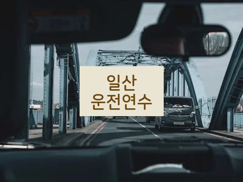 일산운전연수 후기