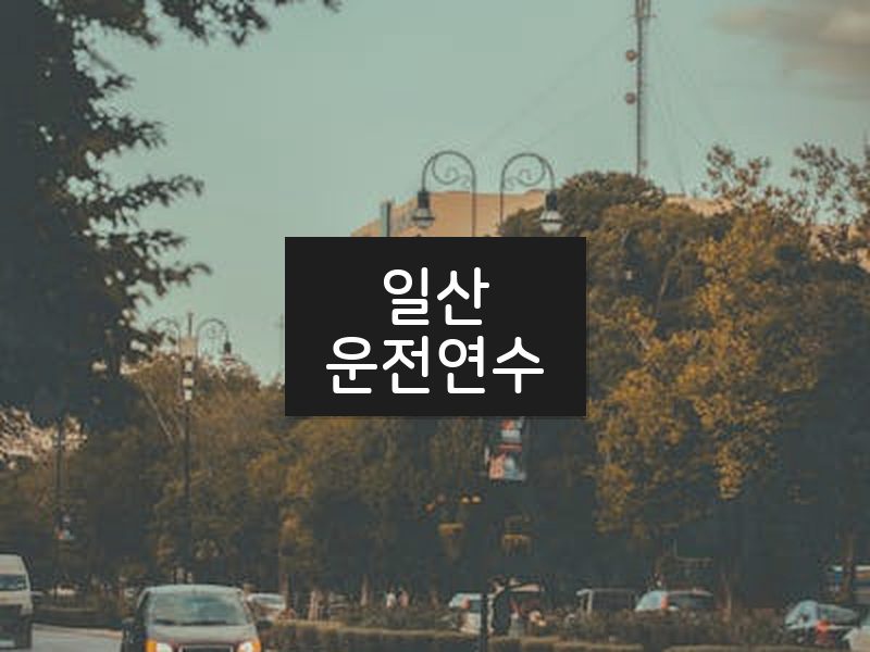 일산운전연수 후기