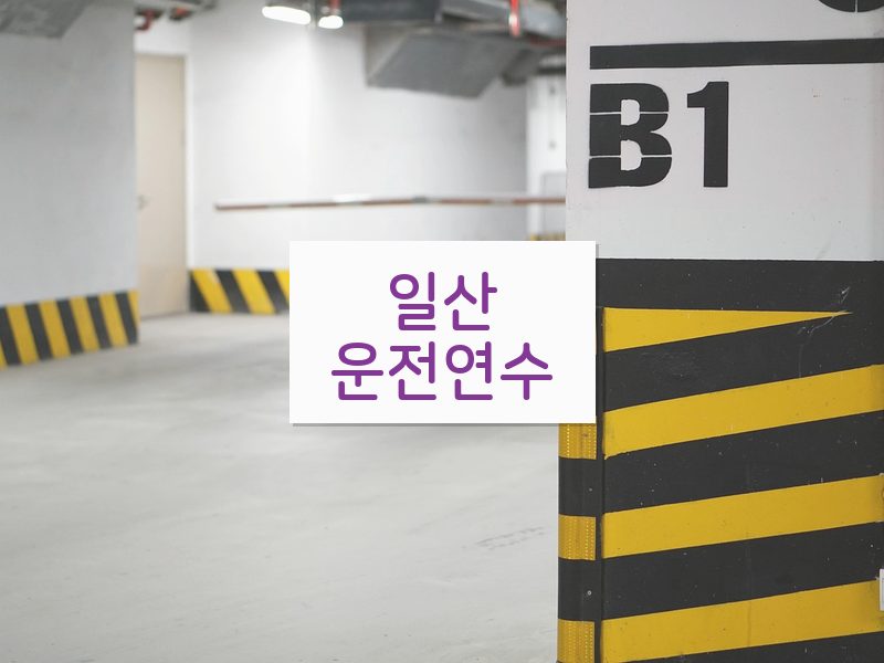 일산운전연수 후기