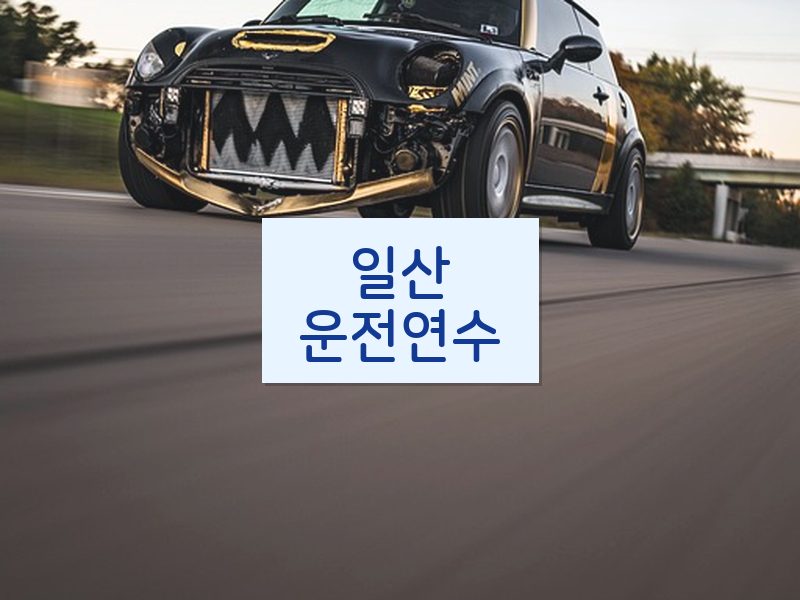 일산운전연수 후기