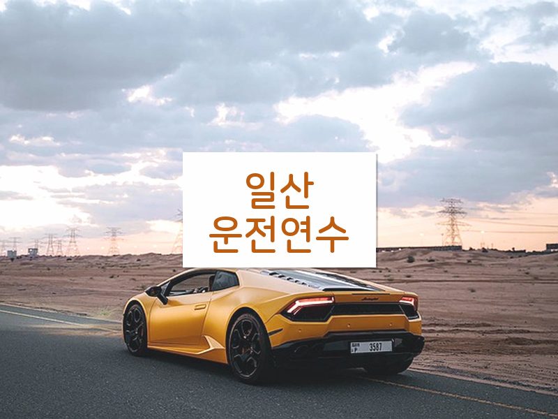 일산운전연수 후기