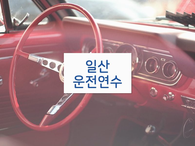 일산운전연수 후기