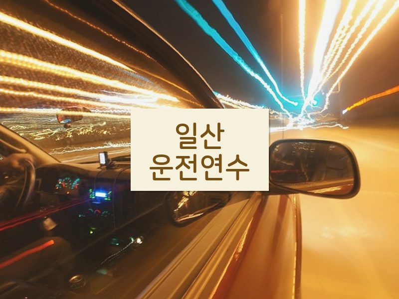 일산운전연수 후기