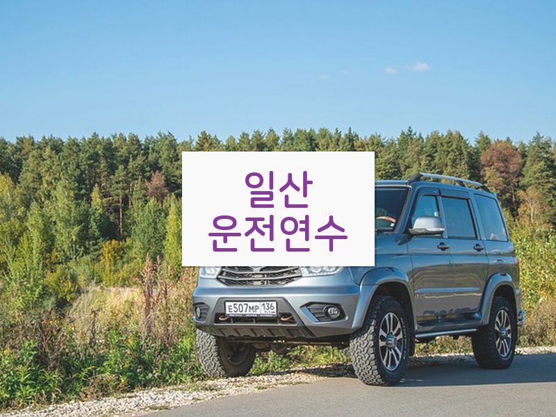 일산운전연수 후기