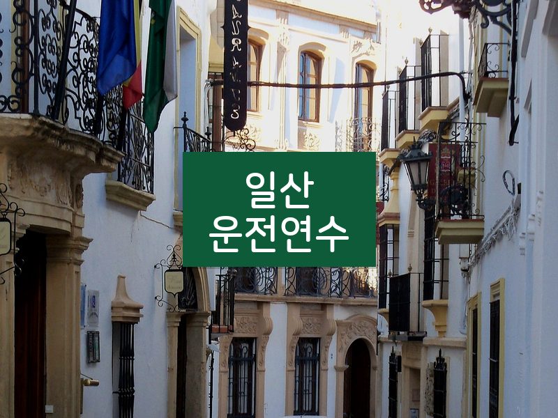 일산운전연수 후기