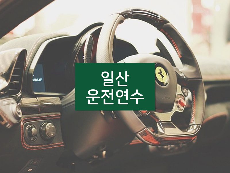 일산운전연수 후기