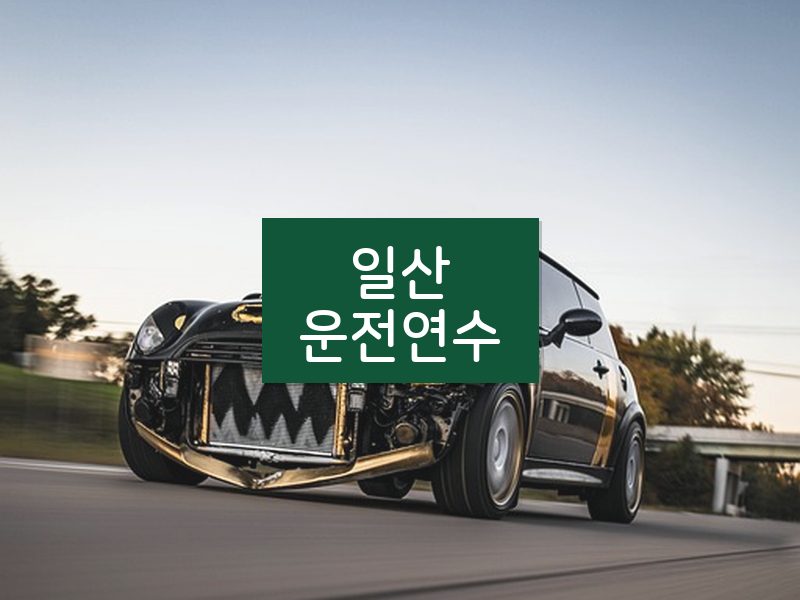 일산운전연수 후기