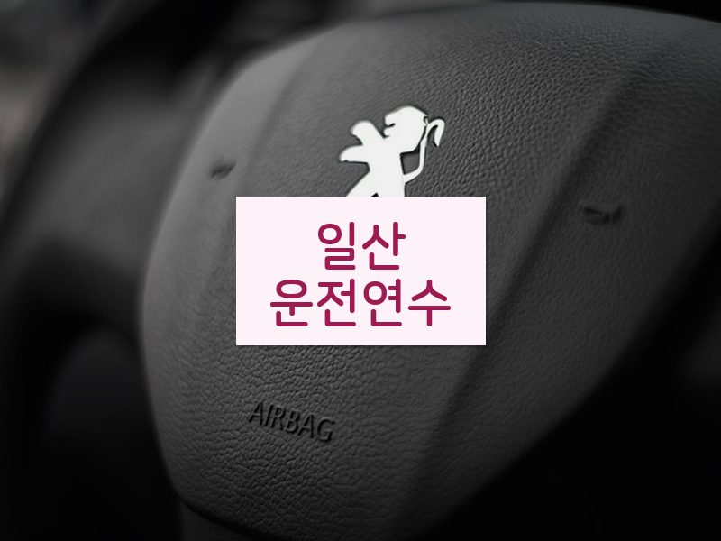 일산운전연수 후기