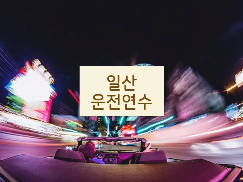 일산운전연수 후기