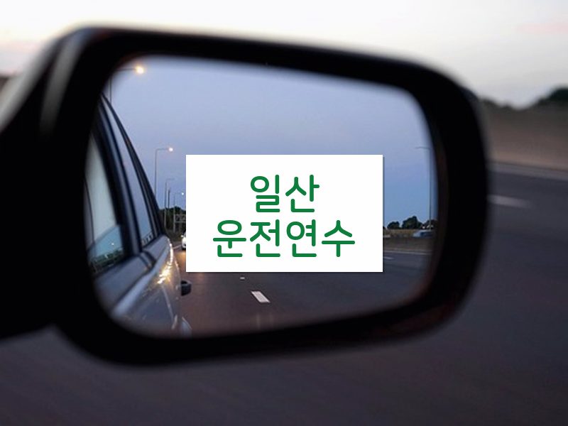 일산운전연수 후기