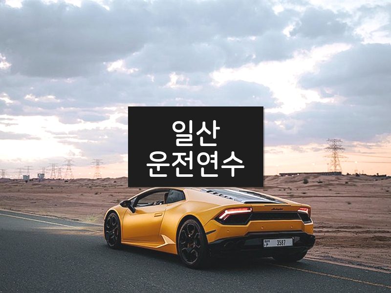 일산운전연수 후기