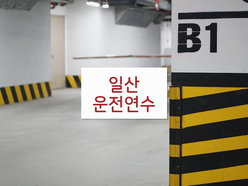 일산운전연수 후기