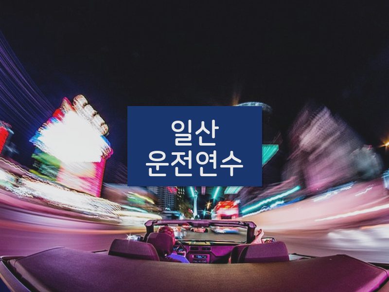 일산운전연수 후기
